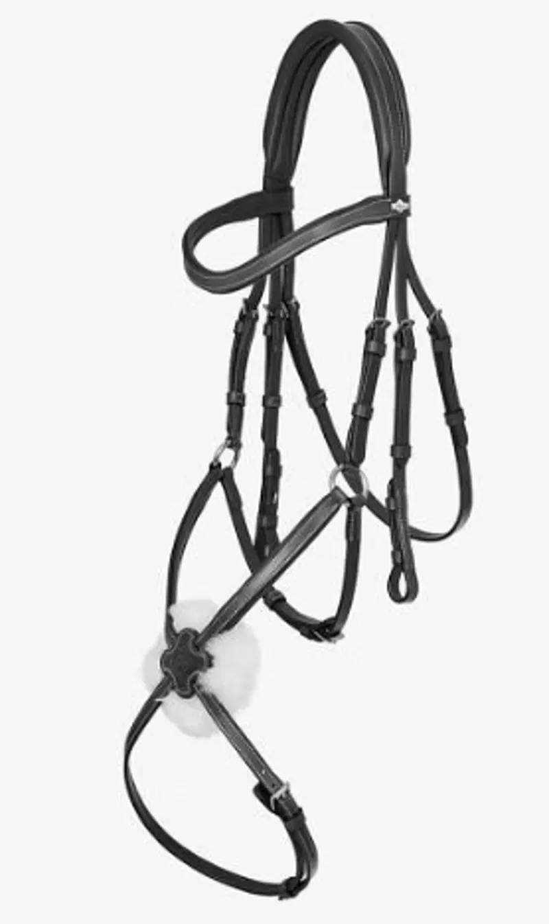 LeMieux Arika Grackle Bridle Black/Silver